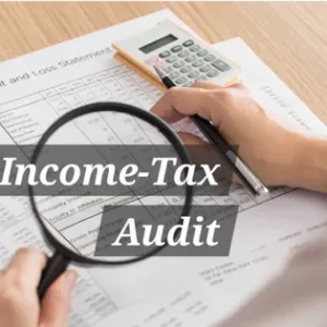 Income Tax Audit: What It Is and Why It Matters