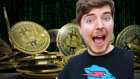 Mr Beast Crypto: The Real Story Behind the Rumors