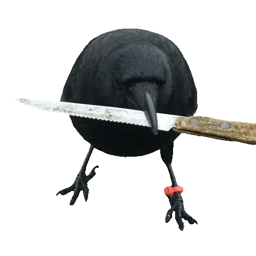 Crow With Knife Crypto How a Viral Meme Became a Blockchain Phenomenon