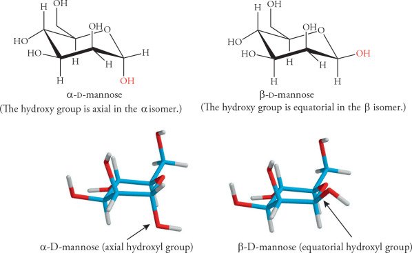 Diastereomers Understanding Their Role in Chemistry and Beyond
