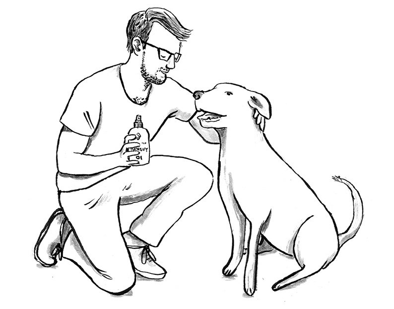 Dog Drawing A Comprehensive Guide to Capturing Man’s Best Friend on Paper