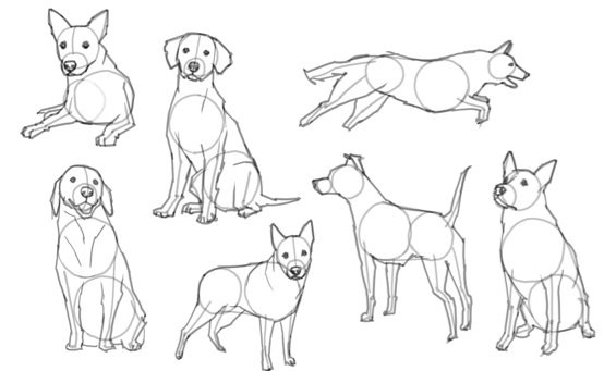 How to Draw a Dog Step-by-Step Guide for Beginners and Enthusiasts