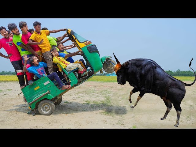 The TabooTUE Viral Funny Videos Phenomenon: Why We Can’t Stop Watching