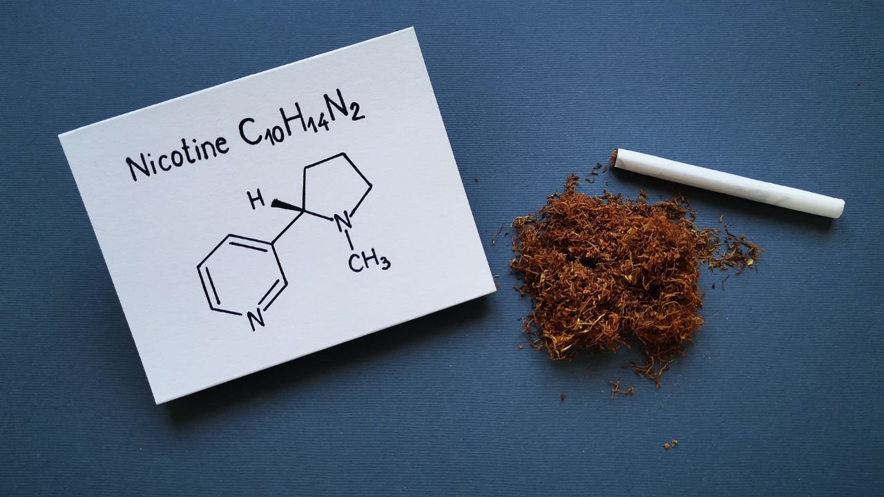 Are ZYNs Better than Vaping? A Comprehensive Comparison