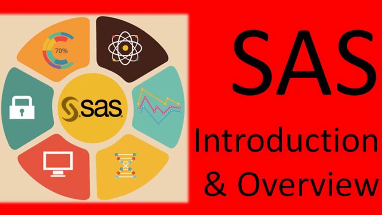 SAS1000 Software Comprehensive Guide Features and Industry Applications