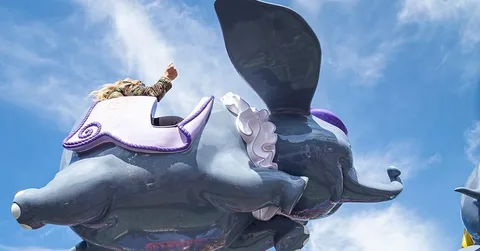 The Flying Elephant Memoirs of an Olympic Champion